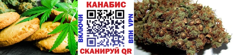 Cannafood конопля  Нея 