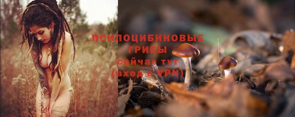 таблы Аркадак