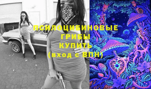 шишки Балахна