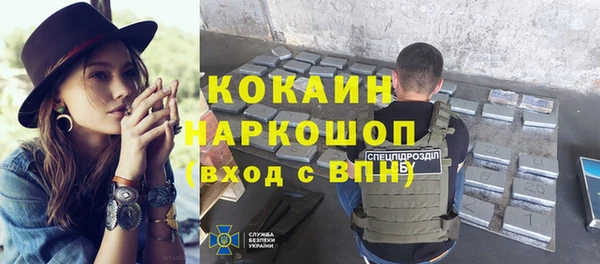 шишки Балахна