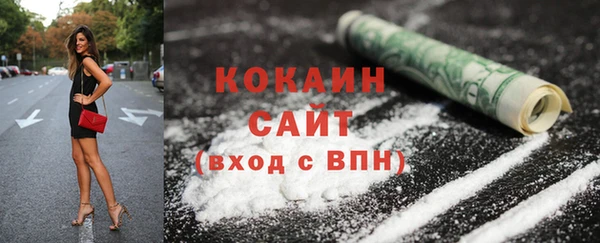 шишки Балахна