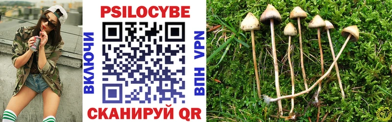 где купить   Нея  Галлюциногенные грибы MAGIC MUSHROOMS 