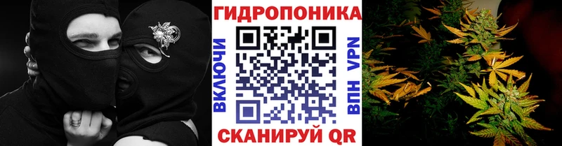 Канабис AK-47  купить  цена  Нея 