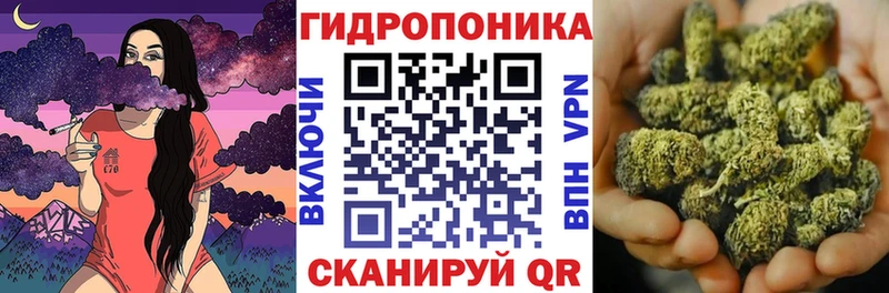 Конопля конопля Нея